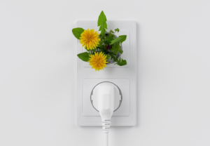 Stecker-Solaranlagen - Antragstellung wieder möglich!