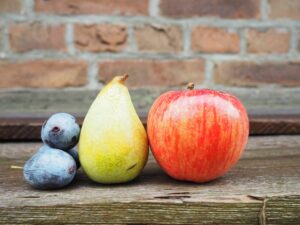 Streuobstpakt - Jetzt kostenlose Obstbäume bestellen!